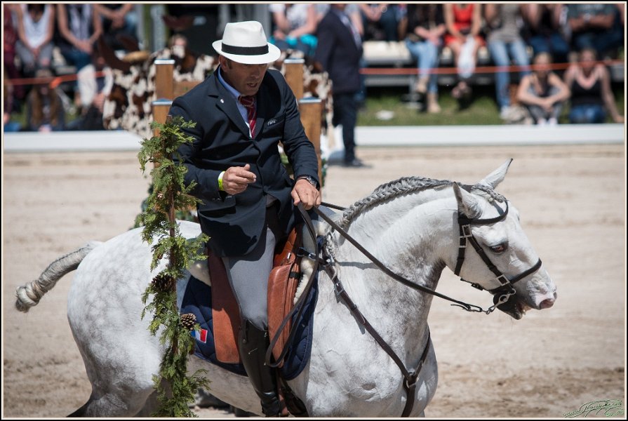 Pferd International 083